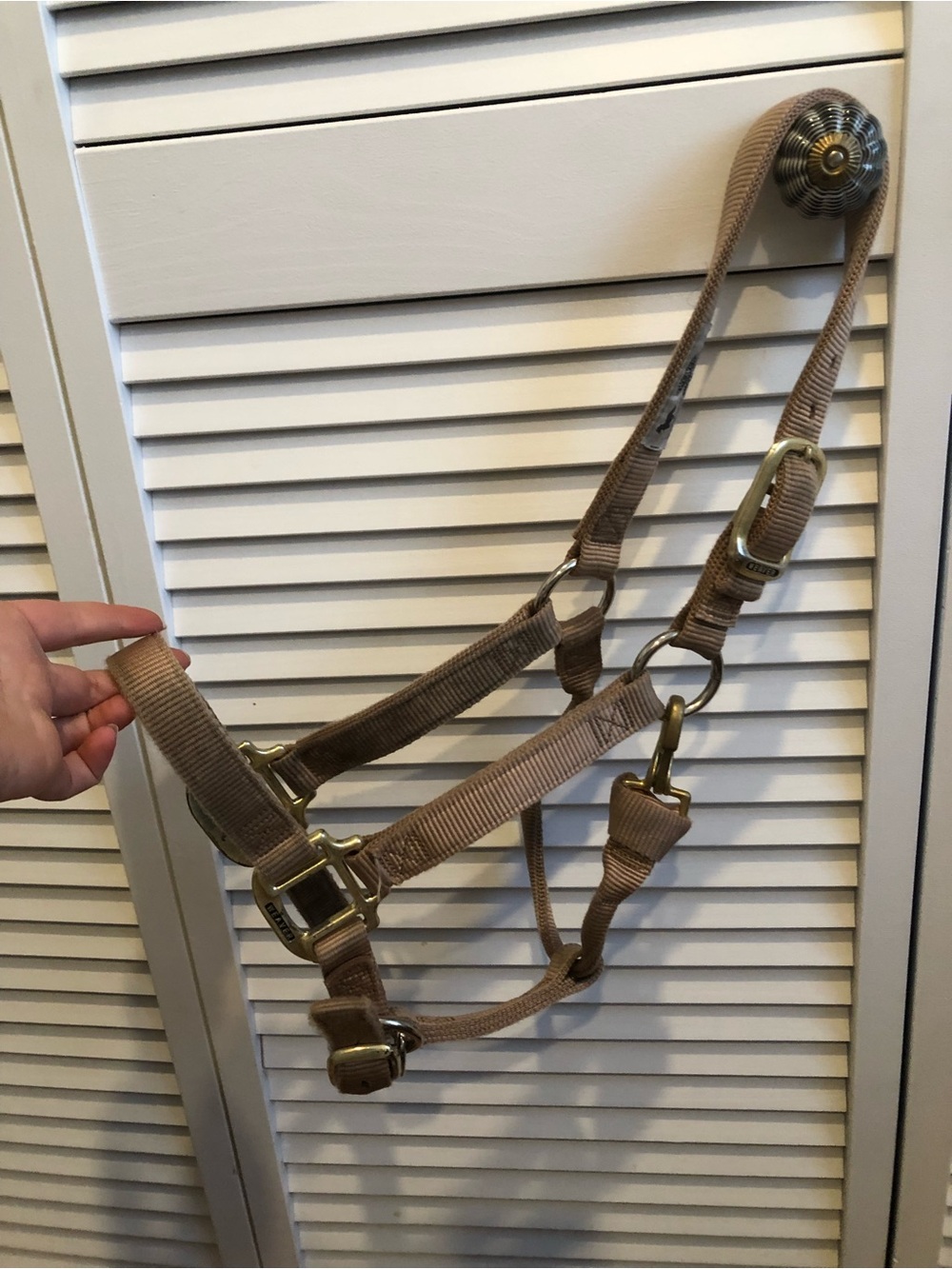 Weavers Tan/Champagne Nylon Adjustable Horse Halter with Brass Hardware (small)